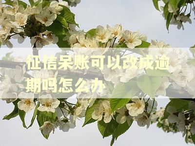 征信呆账可以改成逾期吗怎么办