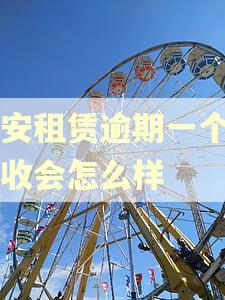 平安租赁逾期一个月催收会怎么样