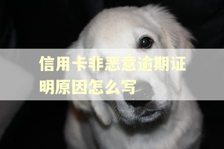 信用卡非恶意逾期证明原因怎么写