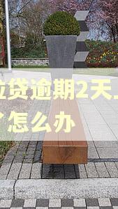 微粒贷逾期2天上征信了怎么办