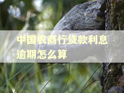 中国农商行贷款利息逾期怎么算