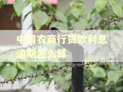 中国农商行贷款利息逾期怎么算