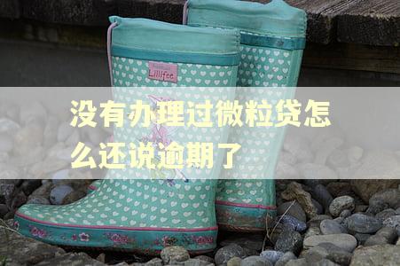 没有办理过微粒贷怎么还说逾期了