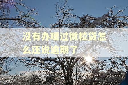 没有办理过微粒贷怎么还说逾期了