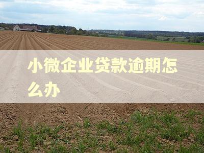 小微企业贷款逾期怎么办