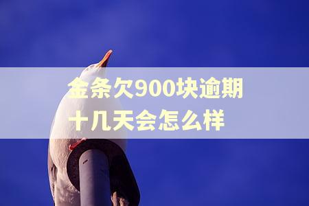 金条欠900块逾期十几天会怎么样