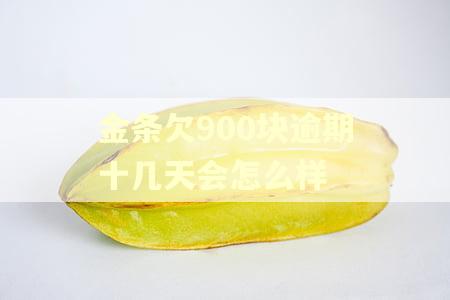 金条欠900块逾期十几天会怎么样