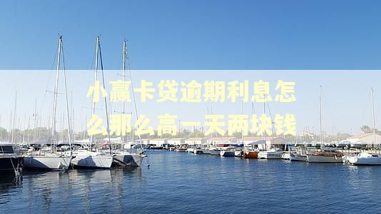 小赢卡贷逾期利息怎么那么高一天两块钱