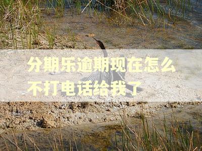 分期乐逾期现在怎么不打电话给我了 分期乐逾期现在怎么不打电话给我了