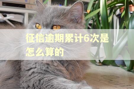 征信逾期累计6次是怎么算的 征信逾期累计6次是怎么算的