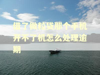 借了微粒贷那个手机开不了机怎么处理逾期