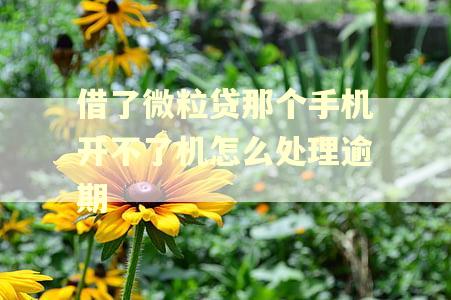 借了微粒贷那个手机开不了机怎么处理逾期