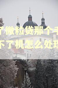 借了微粒贷那个手机开不了机怎么处理逾期