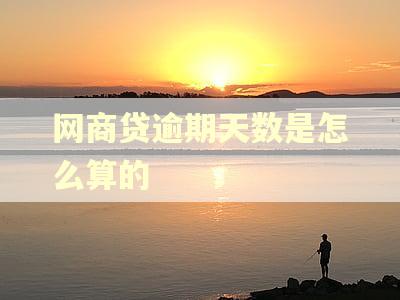 网商贷逾期天数是怎么算的