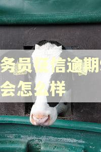 公务员征信逾期90天会怎么样