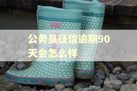 公务员征信逾期90天会怎么样