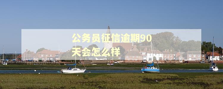 公务员征信逾期90天会怎么样 公务员征信逾期90天会怎么样