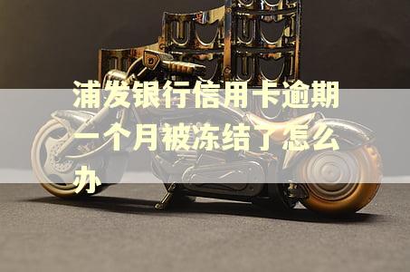 浦发银行信用卡逾期一个月被冻结了怎么办