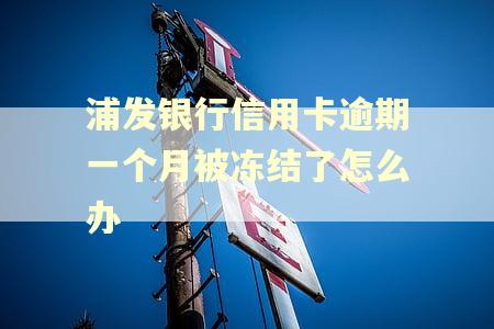 浦发银行信用卡逾期一个月被冻结了怎么办