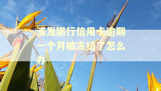 浦发银行信用卡逾期一个月被冻结了怎么办