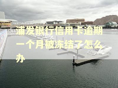 浦发银行信用卡逾期一个月被冻结了怎么办