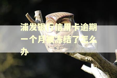浦发银行信用卡逾期一个月被冻结了怎么办 浦发银行信用卡逾期一个月被冻结了怎么办