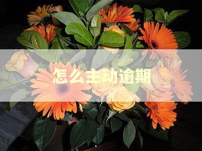 怎么主动逾期