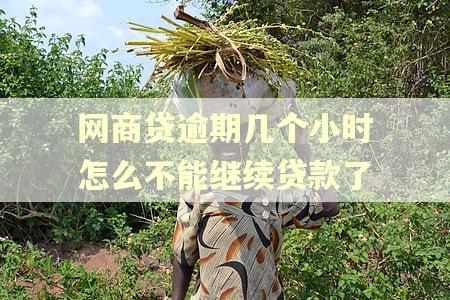 网商贷逾期几个小时怎么不能继续贷款了