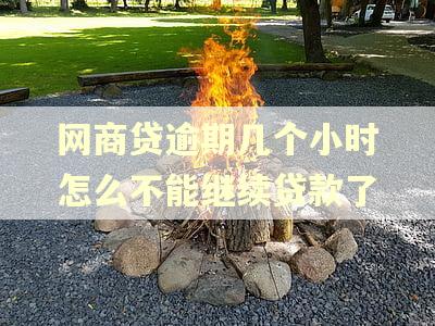 网商贷逾期几个小时怎么不能继续贷款了 网商贷逾期几个小时怎么不能继续贷款了