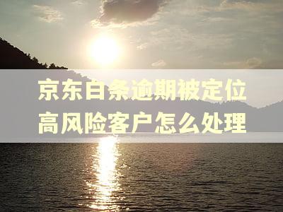 京东白条逾期被定位高风险客户怎么处理