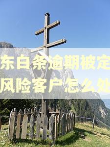 京东白条逾期被定位高风险客户怎么处理