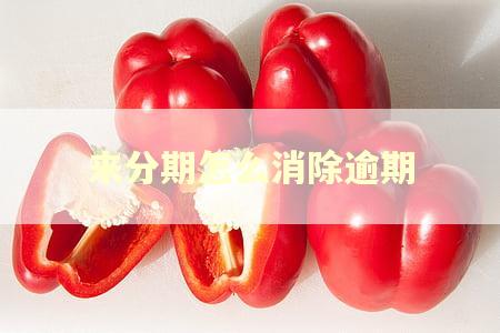 来分期怎么消除逾期