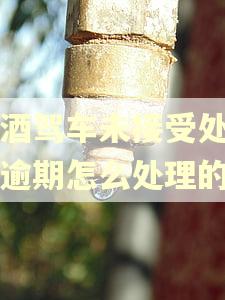 饮酒驾车未接受处罚后逾期怎么处理的