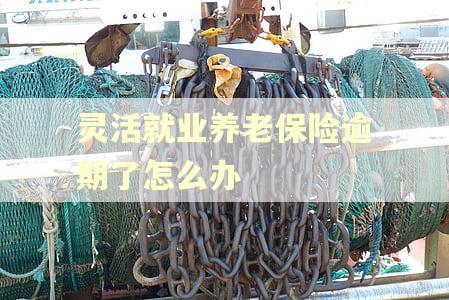 灵活就业养老保险逾期了怎么办