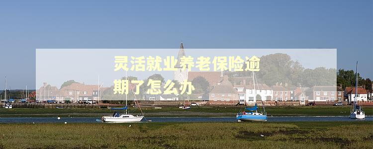 灵活就业养老保险逾期了怎么办