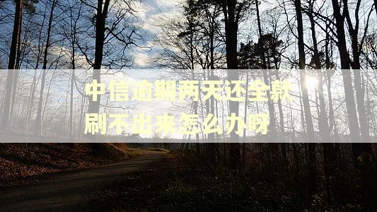 中信逾期两天还全款刷不出来怎么办呀
