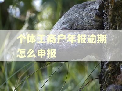 个体工商户年报逾期怎么申报