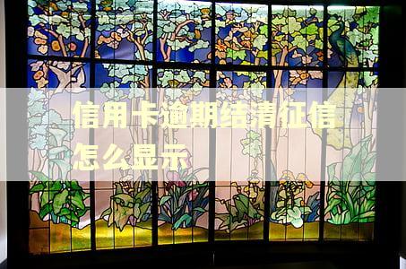 信用卡逾期结清征信怎么显示