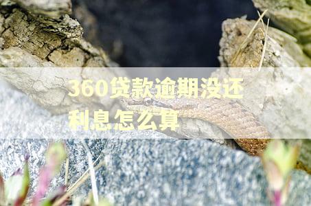360贷款逾期没还利息怎么算