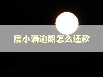 度小满逾期怎么还款