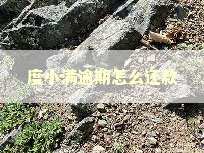 度小满逾期怎么还款 度小满逾期怎么还款