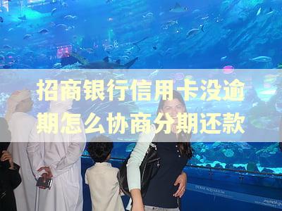 招商银行信用卡没逾期怎么协商分期还款