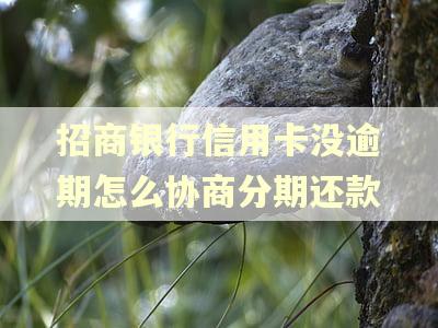 招商银行信用卡没逾期怎么协商分期还款