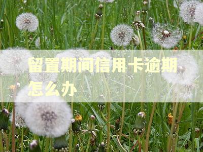 留置期间信用卡逾期怎么办