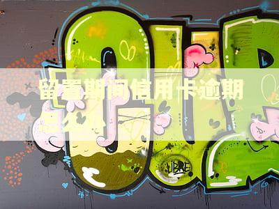 留置期间信用卡逾期怎么办