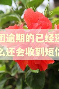 美团逾期的已经还了怎么还会收到短信