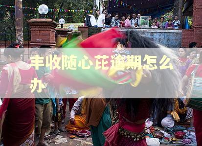 丰收随心芘逾期怎么办 丰收随心芘逾期怎么办