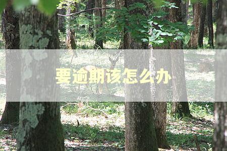 要逾期该怎么办