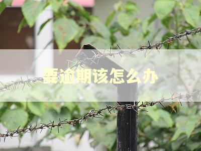 要逾期该怎么办