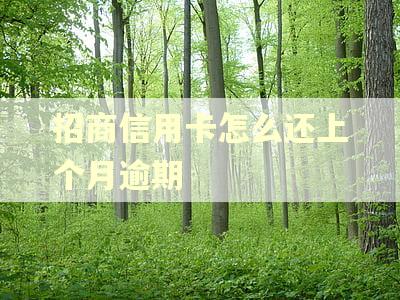 招商信用卡怎么还上个月逾期